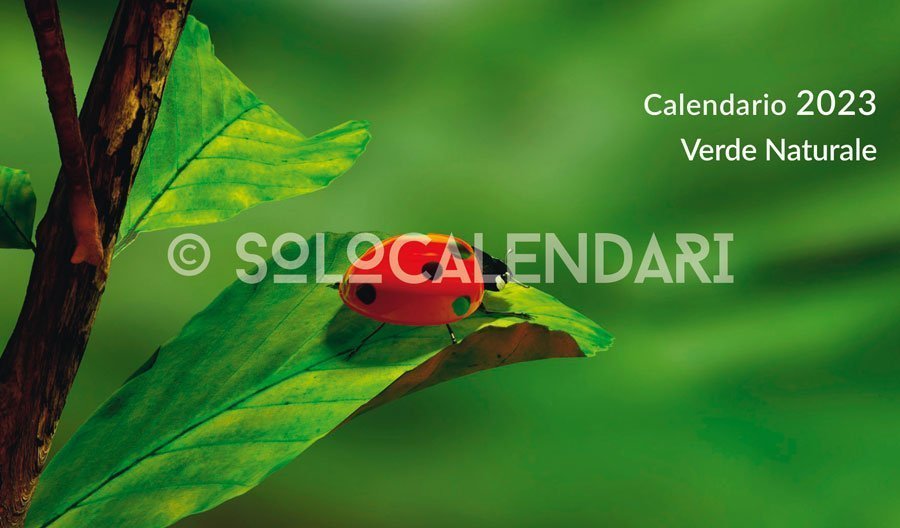 Calendario da tavolo Verde naturale