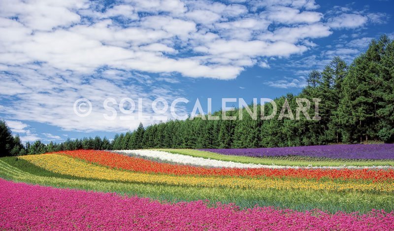 Calendario da tavolo Colori della Natura