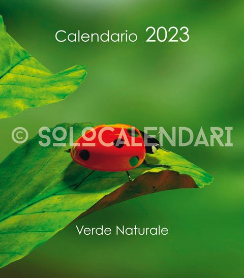 Calendario da tavolo Verde Naturale