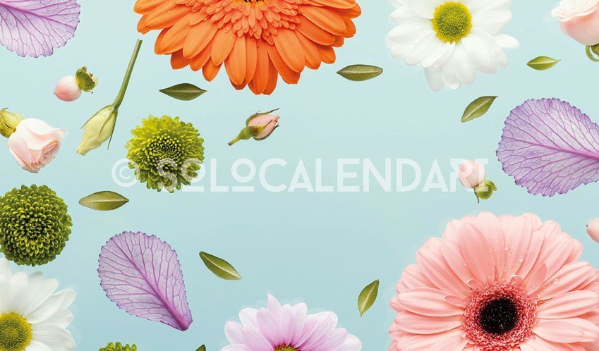 Calendario fotografico Flowers